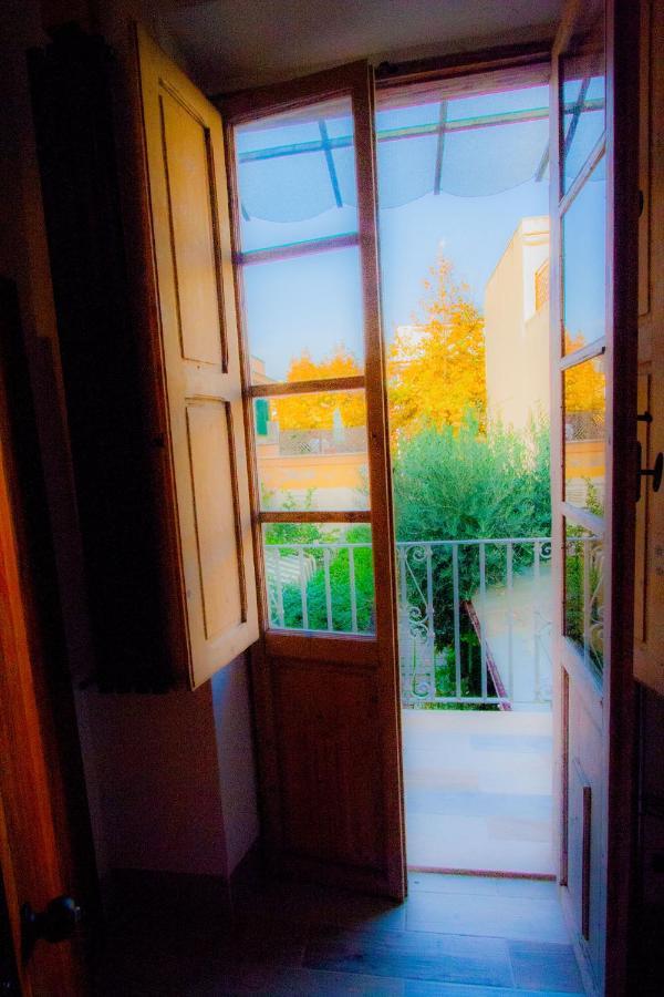 "Sea & Center" Free Beach, Wifi, Mini Pool, Roof Terrace, Ladispoli, Rome エクステリア 写真